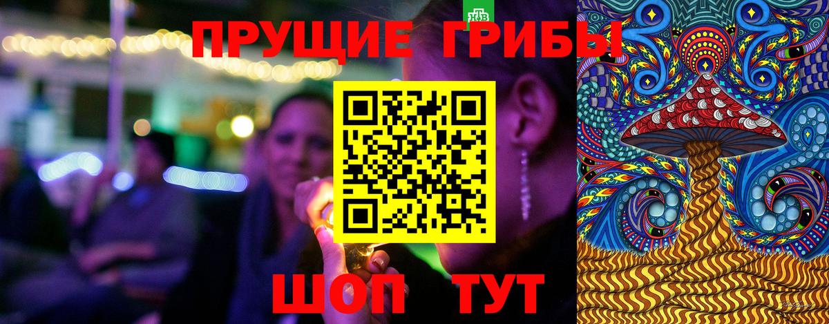 Тамбов  Псилоцибиновые грибы прущие грибы  Вход с VPN  Галлюциногенные грибы прущие грибы 