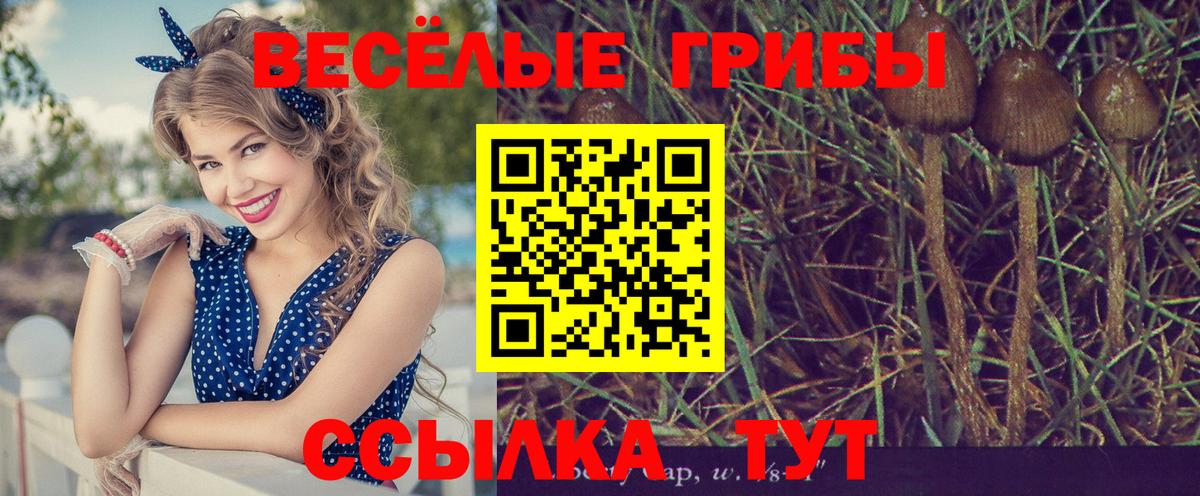 Псилоцибиновые грибы MAGIC MUSHROOMS Тамбов